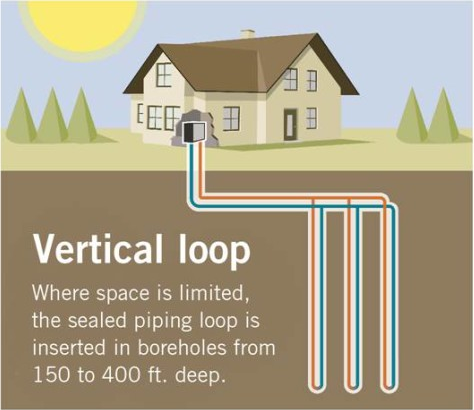 Vertical loop field